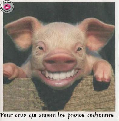 LooL